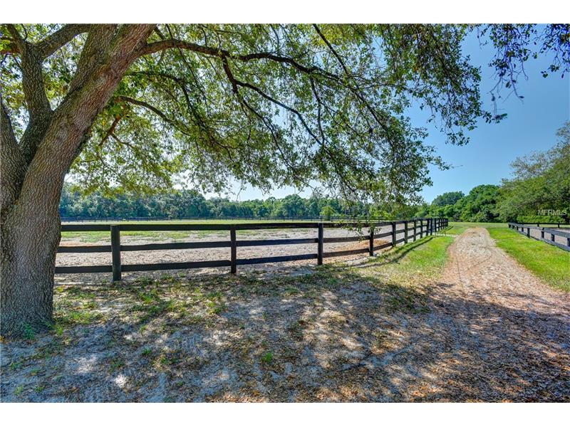 15 Acre Equestrian Center with Possible Owner Financing Available $899,900