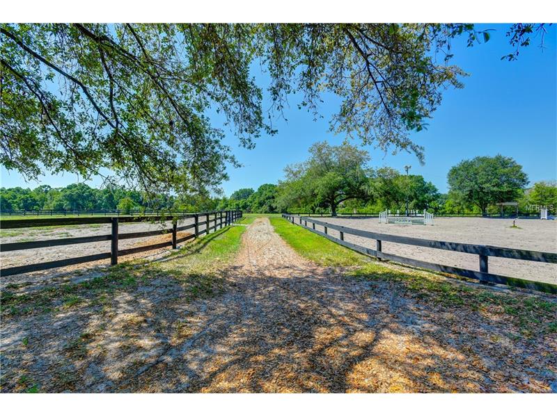 15 Acre Equestrian Center with Possible Owner Financing Available $899,900