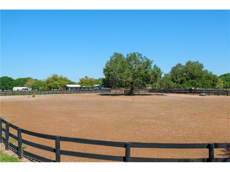 15 Acre Equestrian Center with Possible Owner Financing Available $899,900