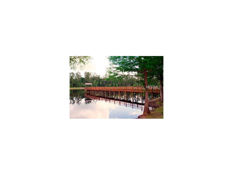 40 Acre Sports / Religious Retreat For Sale In Lake County