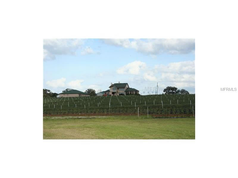 57 acre lakefront estate with blueberry farm For Sale in Lake County, FL - $1,500,000