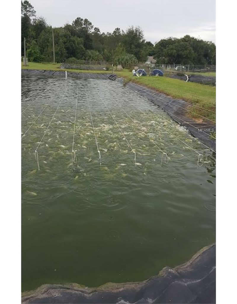 Fish Farm For Sale with 24 ponds in Mount Dora, FL - $525,000