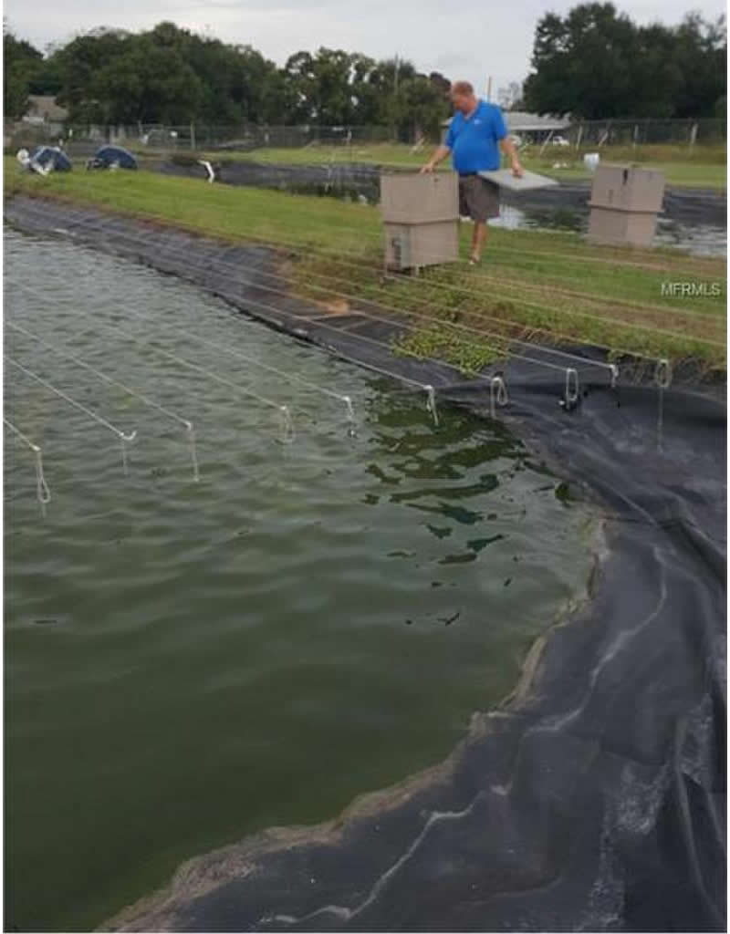 Fish Farm For Sale with 24 ponds in Mount Dora, FL - $525,000
