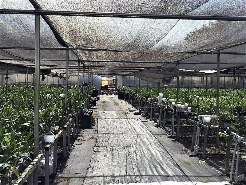 6 acre Orchid Farm in Apopka, FL - $700,000