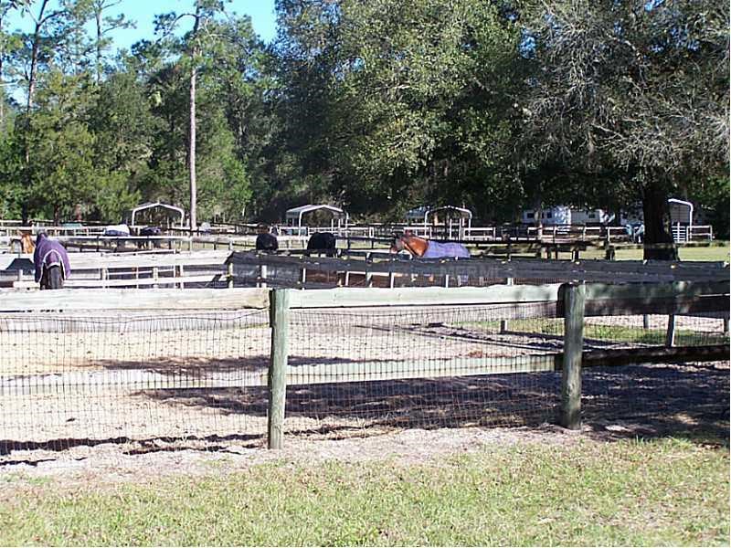 Horse Farm For Sale with 49 stalls, arena, and Cedar Home near Deland, FL - $495,000