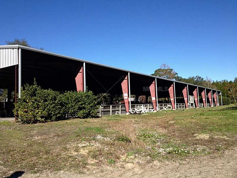 Horse Farm For Sale with 49 stalls, arena, and Cedar Home near Deland, FL - $495,000