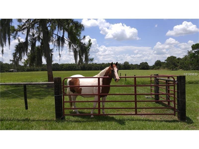 57 acre lakefront estate with blueberry farm For Sale in Lake County, FL - $1,500,000  


 